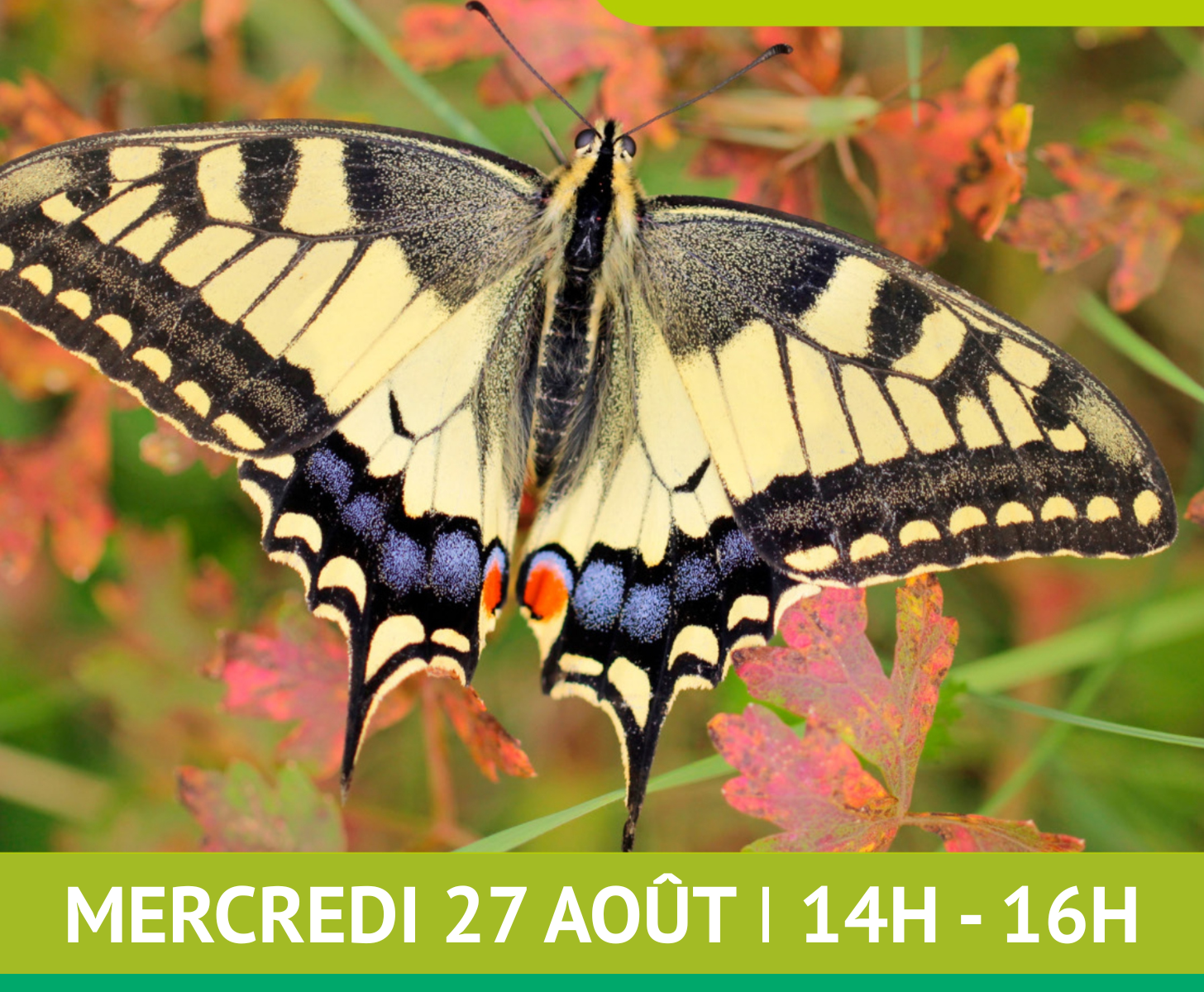 Affiche pap Neuville