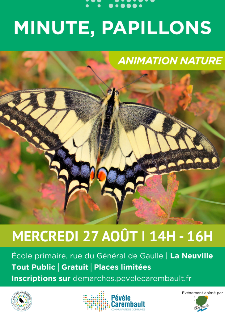 Affiche pap Neuville