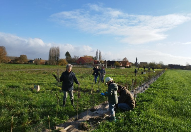 Haie champêtre 2022