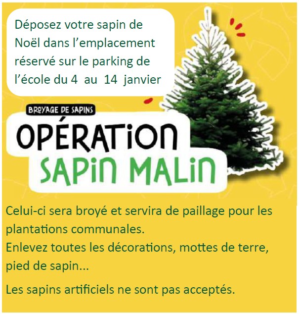 operation sapin malin