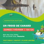 UN FROID DE CANARD AFFICHE