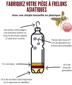 piège à frelons